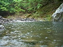 2007-05-10 045.JPG